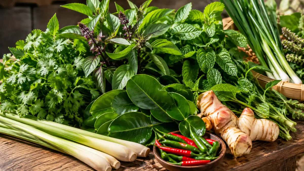 Färska asiatiska örter som koriander, thaibasilika, citrongräs och shiso på ett bord